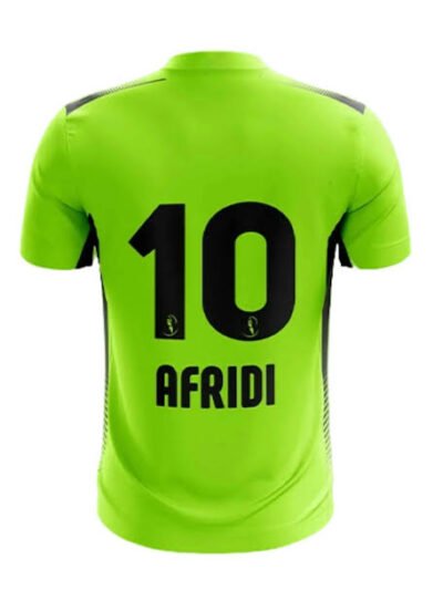 Lahore Qalandars PSL Shirt 2025 jersey back view with sponsor print