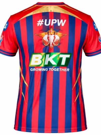 Gujarat Lions GL red and blue vertical striped IPL jersey back view