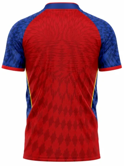 Punjab Kings PBKS red and blue IPL jersey back view