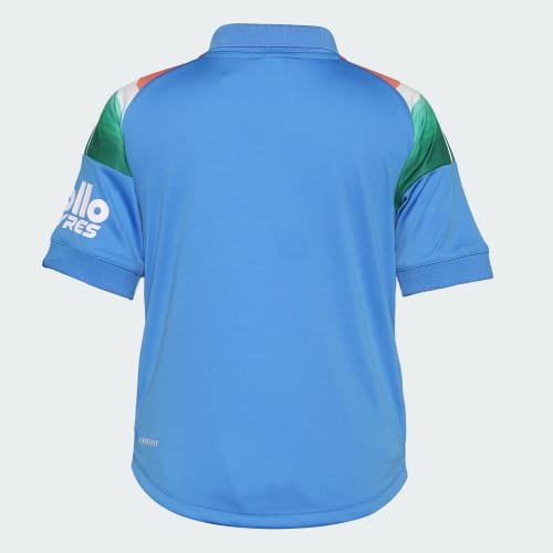 India ODI Cricket Jersey sky blue shirt back view